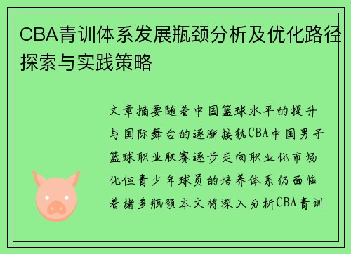 CBA青训体系发展瓶颈分析及优化路径探索与实践策略