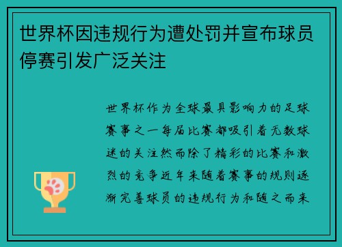 世界杯因违规行为遭处罚并宣布球员停赛引发广泛关注